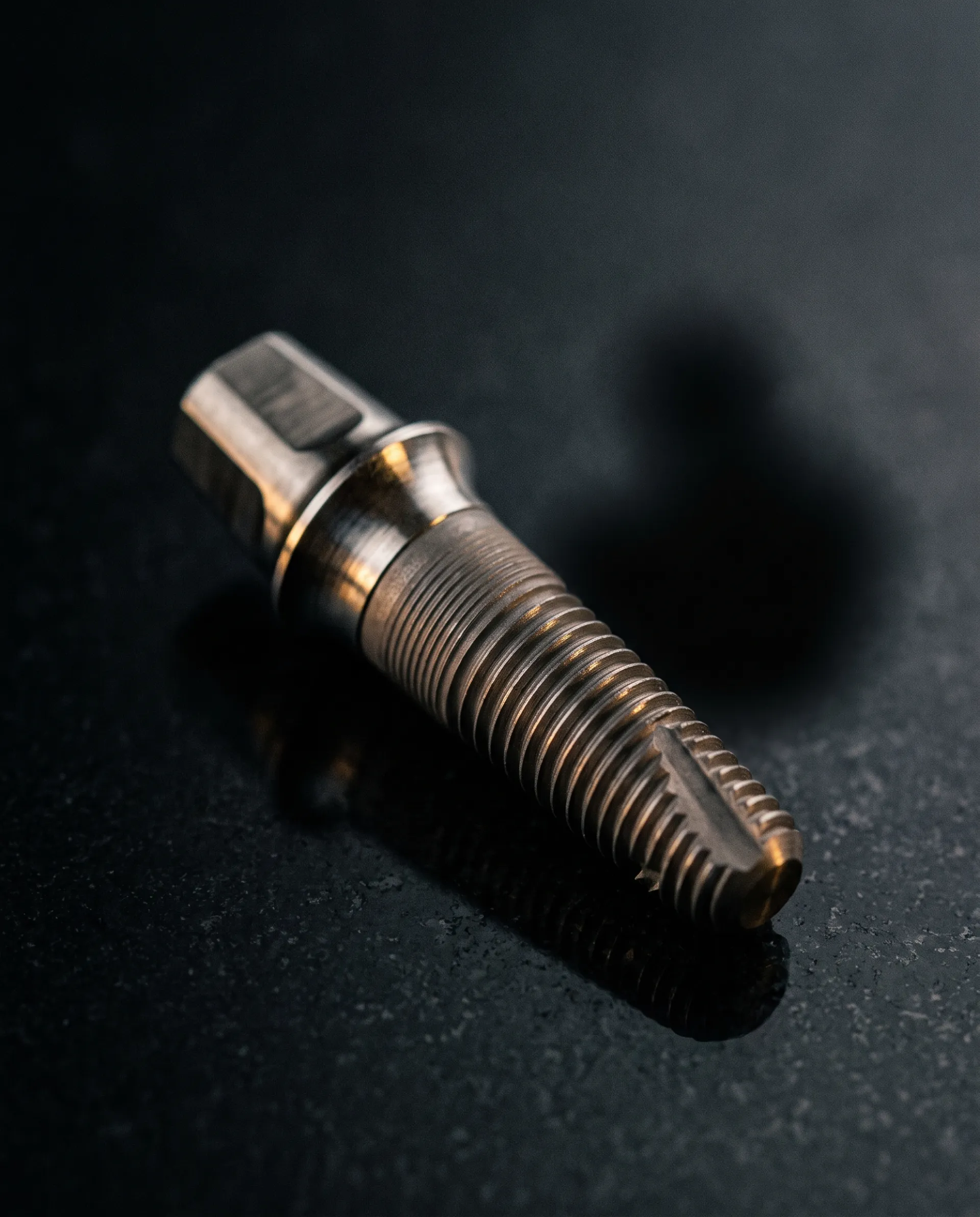 Implant dentaire en titane posé sur une pierre noire, macrophotographie